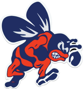 Bridgman Bees