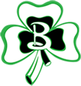 Berrien Springs Shamrocks