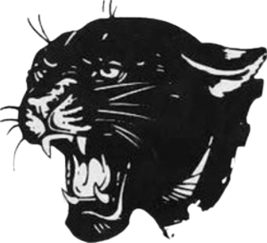 Delton Panthers