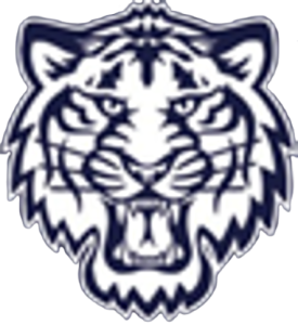 Detroit Academy of the Americas Tigers