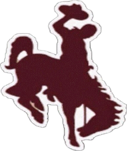 Detroit Western Cowboys