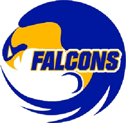 Dearborn Heights Star International Falcons