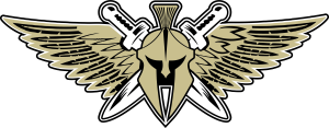 Flint New Standard Warriors