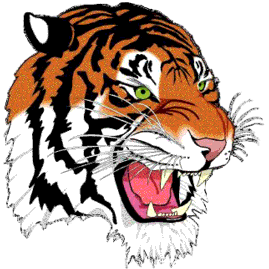 Hillman Tigers