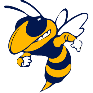 Ithaca Yellowjackets