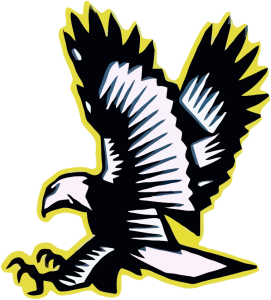 Otisville LakeVille Falcons