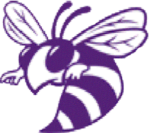 L'Anse Purple Hornets