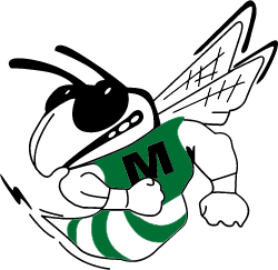 Mendon Hornets