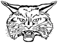 Niles Brandywine Bobcats