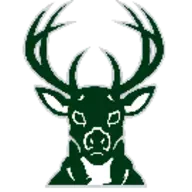 LeRoy Pine River Bucks High School Football Scores and Schedules