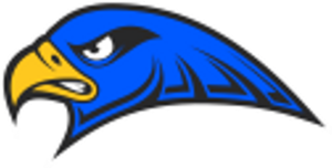 Rochester Falcons