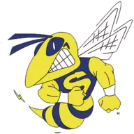 Saline Hornets