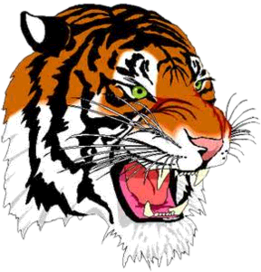 Shelby Tigers